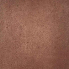 Load image into Gallery viewer, TimberSoy Polyurethane Wood Stain &amp; Sealer, Factory Tinted