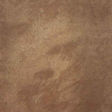 Load image into Gallery viewer, TimberSoy Polyurethane Wood Stain &amp; Sealer, Factory Tinted