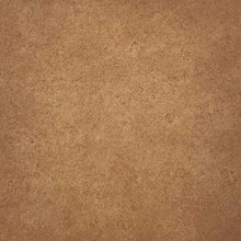 Load image into Gallery viewer, TimberSoy Polyurethane Wood Stain &amp; Sealer, Factory Tinted