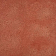 Load image into Gallery viewer, TimberSoy Polyurethane Wood Stain &amp; Sealer, Factory Tinted