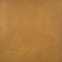 Load image into Gallery viewer, TimberSoy Polyurethane Wood Stain &amp; Sealer, Factory Tinted