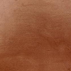 TimberSoy Wood Stain, Color Sample, 2 Oz