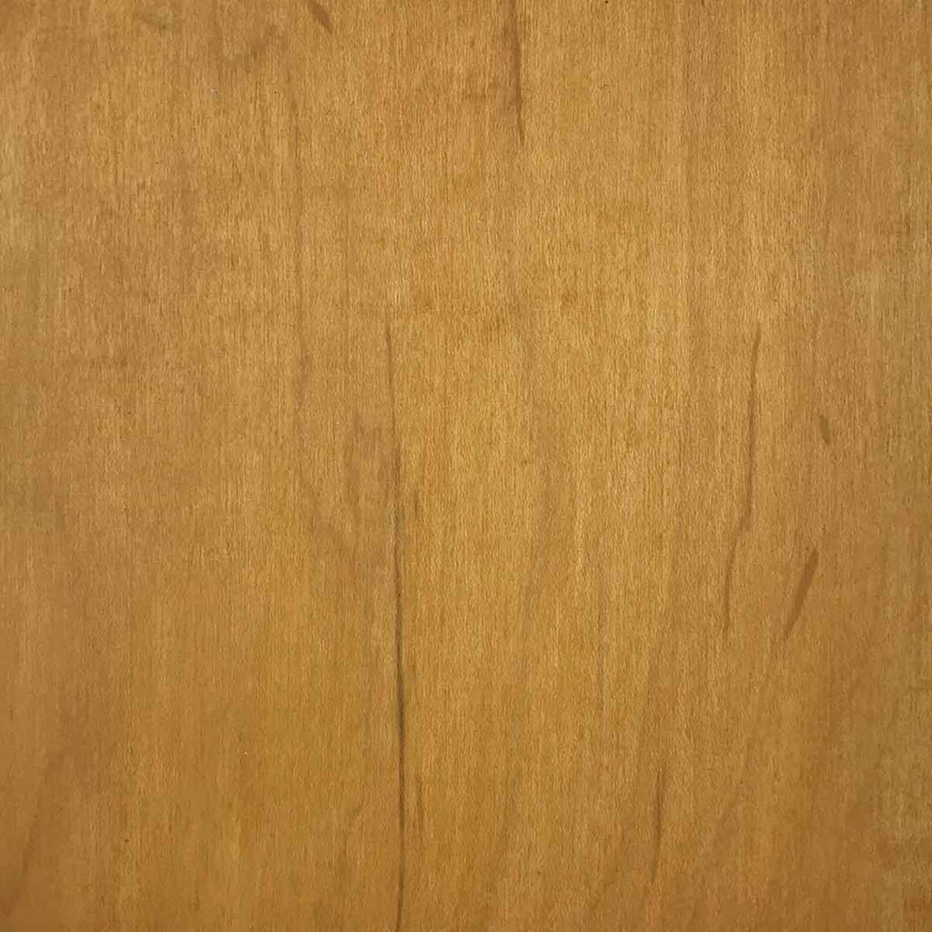 SoyCrete Decorative Concrete Stain, Color Sample, 2 Oz.