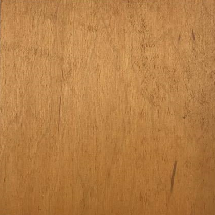 TimberSoy™ Bio-Based Polyurethane Wood Stain & Sealer, Factory Tinted