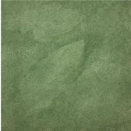 Color Tint Pack - Augusta Green - Eco Safety Products
