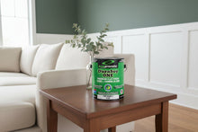 Load image into Gallery viewer, DuraSoy ONE Zero-VOC Paint &amp; Primer | Non-Toxic Flat Finish - Eco Safety Products