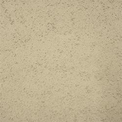 Eco-Tuff Non-Skid Sample, Fine Mesh, 2 Oz - Eco Safety Products