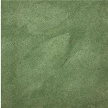 Load image into Gallery viewer, EcoProCote Color Tint Pack - Augusta Green IR