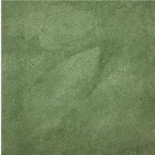 Load image into Gallery viewer, Color Tint Pack - Augusta Green