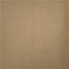 Load image into Gallery viewer, Color Tint Pack - Buckskin