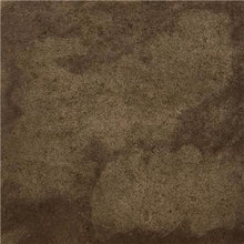 Load image into Gallery viewer, EcoProCote Color Tint Pack - Dark Chocolate