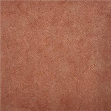 Load image into Gallery viewer, Color Tint Pack - Earth Umber IR