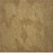 Load image into Gallery viewer, EcoProCote Color Tint Pack - Oak