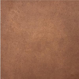 EcoProCote Color Tint Pack - Rawhide IR