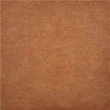 Load image into Gallery viewer, EcoProCote Color Tint Pack - Redwood IR