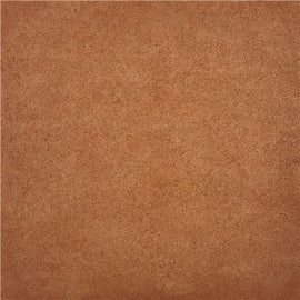 EcoProCote Color Tint Pack - Redwood
