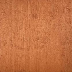 TimberSoy Polyurethane Stain & Sealer, Color Sample, 2 Oz - Eco Safety Products