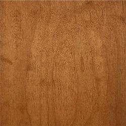 TimberSoy Polyurethane Stain & Sealer, Color Sample, 2 Oz - Eco Safety Products